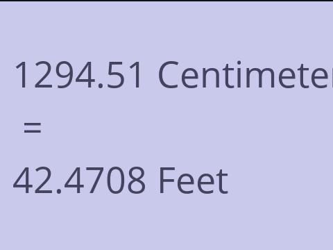 1294.51 CM TO FEET