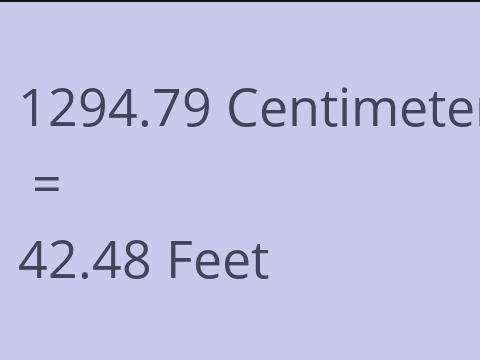 1294.79 CM TO FEET