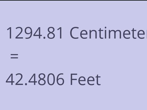 1294.81 CM TO FEET