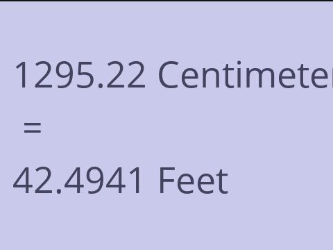 1295.22 CM TO FEET