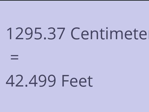 1295.37 CM TO FEET