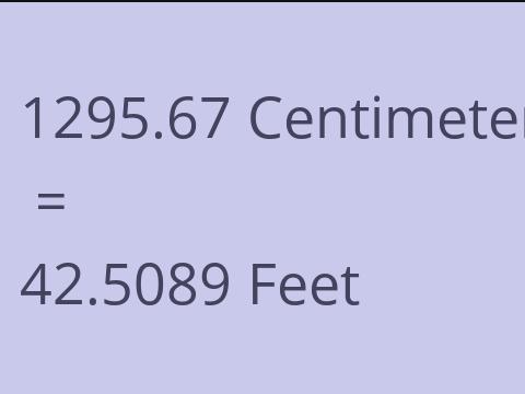 1295.67 CM TO FEET