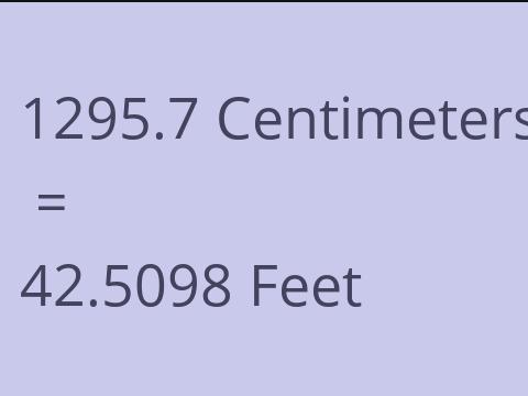 1295.7 CM TO FEET