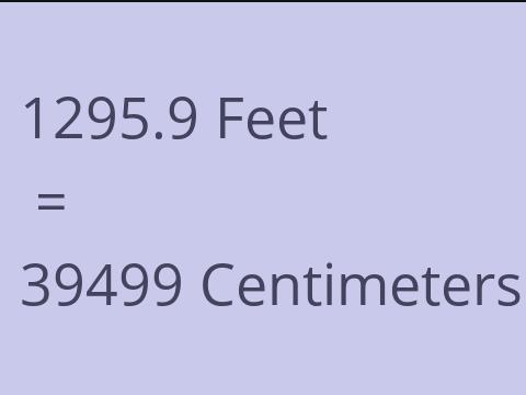 1295.9 FEET TO CM