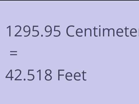 1295.95 CM TO FEET