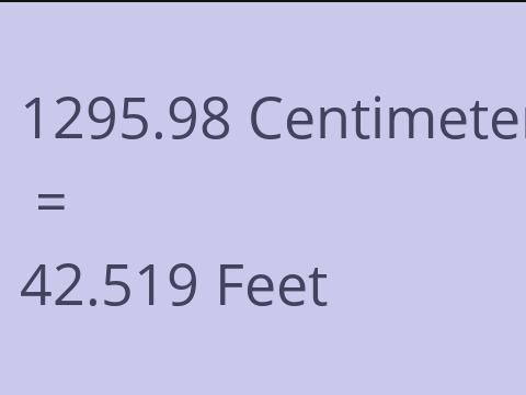 1295.98 CM TO FEET