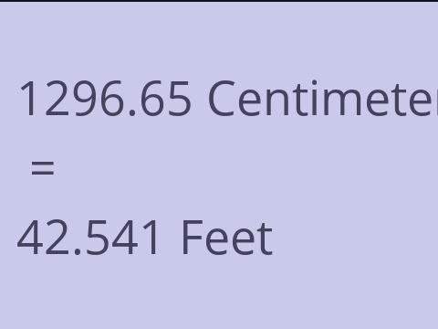 1296.65 CM TO FEET