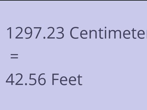 1297.23 CM TO FEET