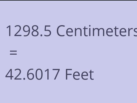 1298.5 CM TO FEET