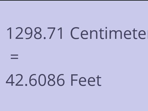 1298.71 CM TO FEET