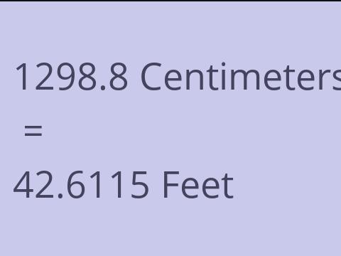 1298.8 CM TO FEET