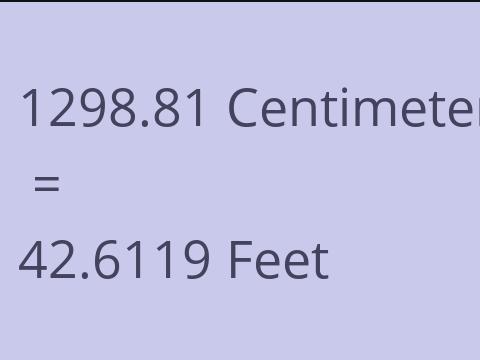 1298.81 CM TO FEET