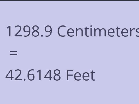 1298.9 CM TO FEET