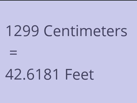 1299 CM TO FEET