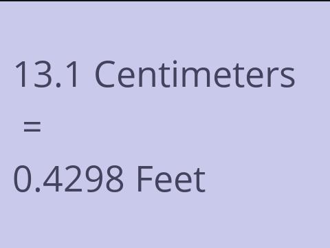 13.1 CM TO FEET