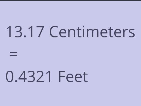 13.17 CM TO FEET