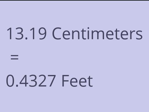 13.19 CM TO FEET