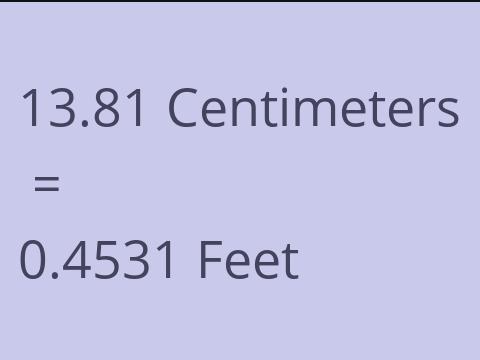 13.81 CM TO FEET