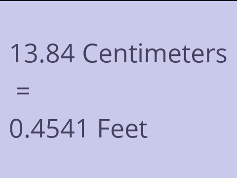 13.84 CM TO FEET