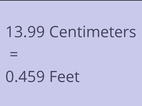 13.99 CM TO FEET