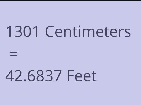 1301 CM TO FEET