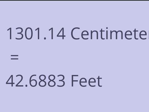 1301.14 CM TO FEET