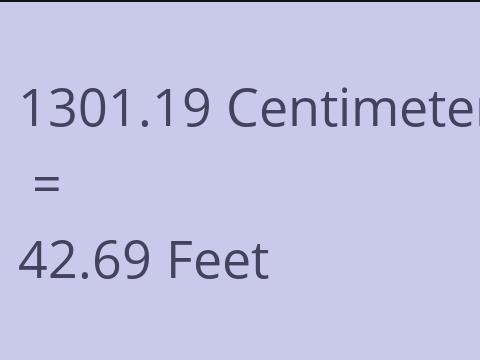 1301.19 CM TO FEET