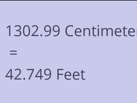 1302.99 CM TO FEET