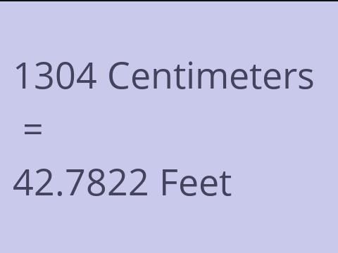 1304 CM TO FEET