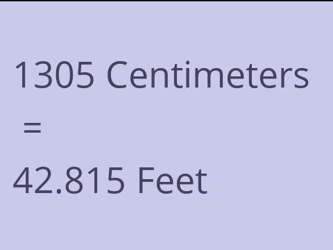 1305 CM TO FEET