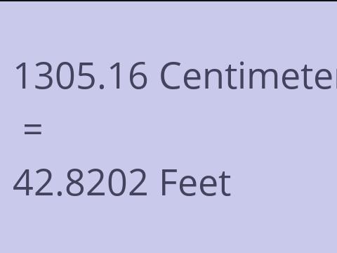 1305.16 CM TO FEET