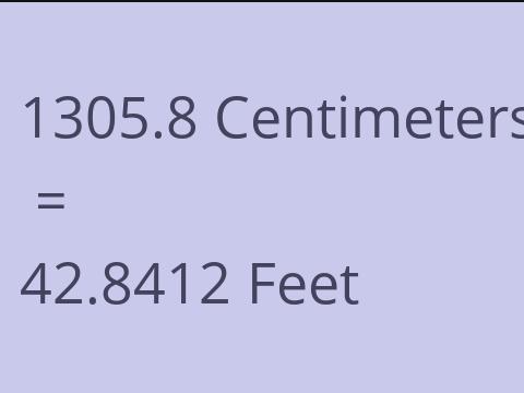 1305.8 CM TO FEET