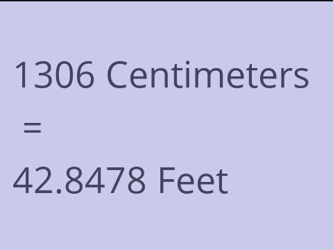 1306 CM TO FEET