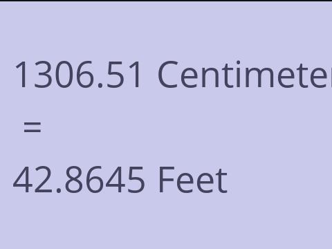 1306.51 CM TO FEET