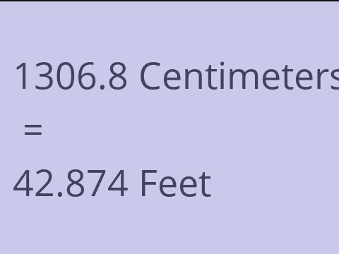 1306.8 CM TO FEET