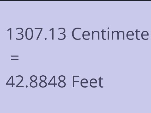 1307.13 CM TO FEET