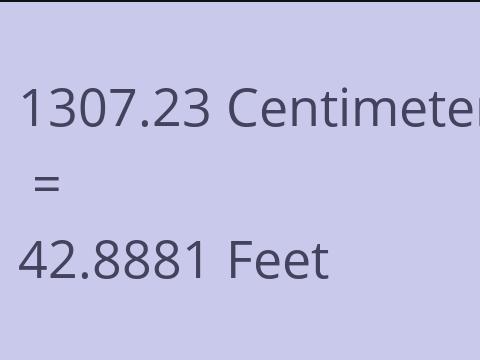 1307.23 CM TO FEET