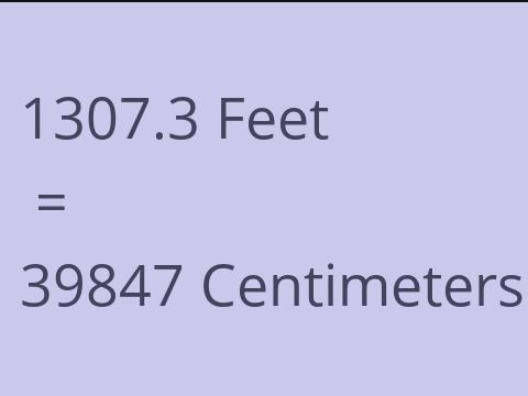 1307.3 FEET TO CM