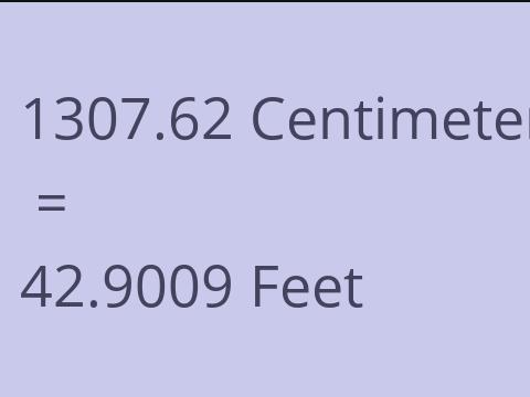 1307.62 CM TO FEET