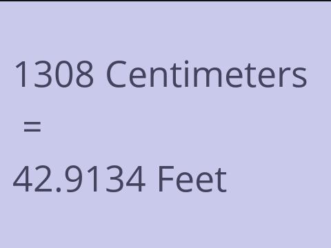 1308 CM TO FEET