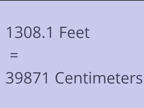 1308.1 FEET TO CM