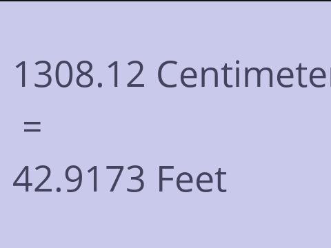 1308.12 CM TO FEET