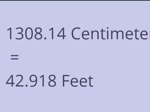 1308.14 CM TO FEET