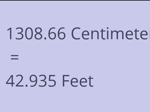 1308.66 CM TO FEET