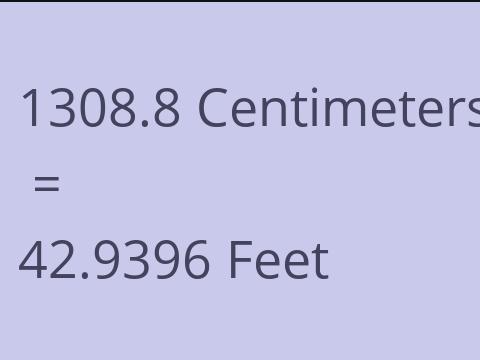 1308.8 CM TO FEET