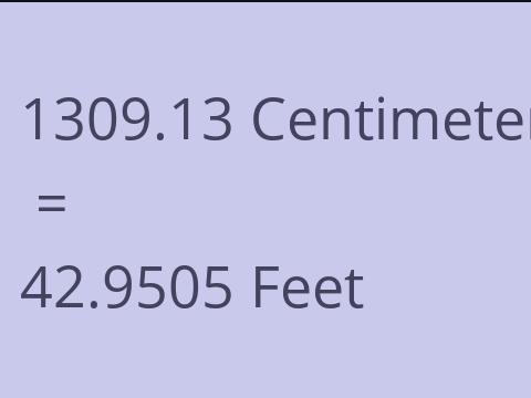 1309.13 CM TO FEET