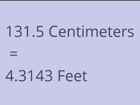 131.5 CM TO FEET