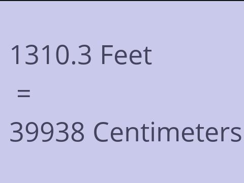 1310.3 FEET TO CM