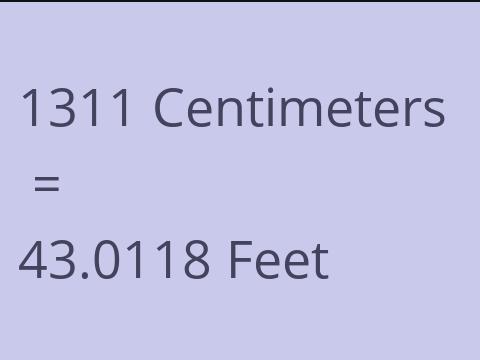 1311 CM TO FEET