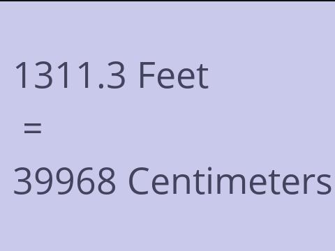 1311.3 FEET TO CM